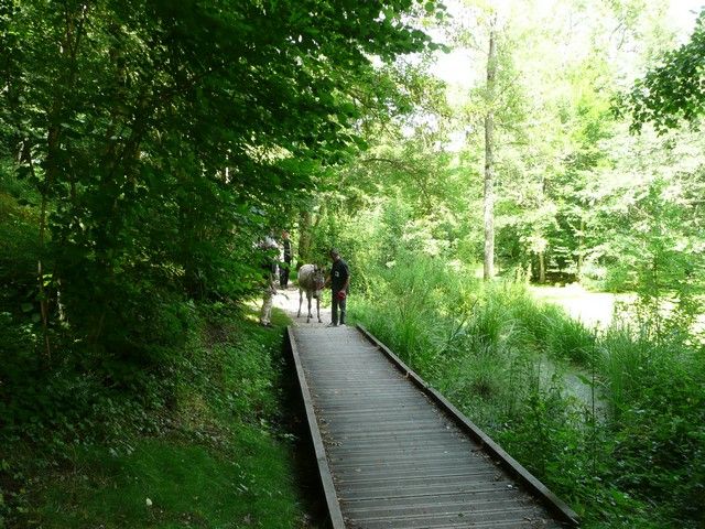 Le Parc 19 juillet 2012 (19).jpg